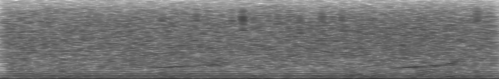 [Loading Spectrogram]
