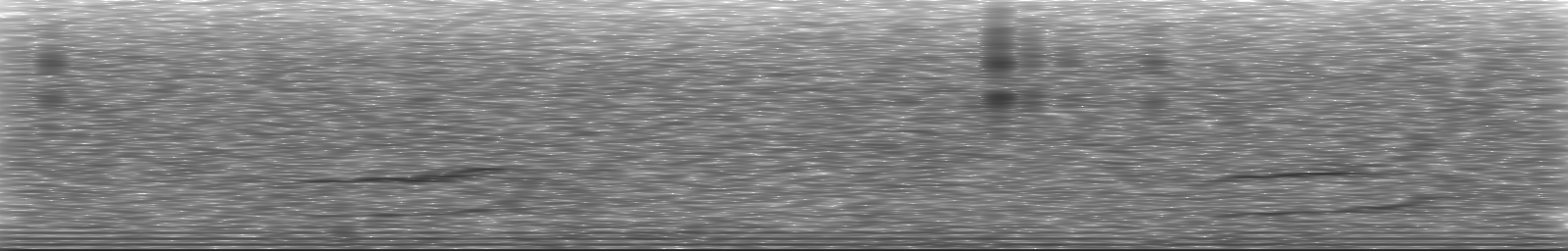 [Loading Spectrogram]