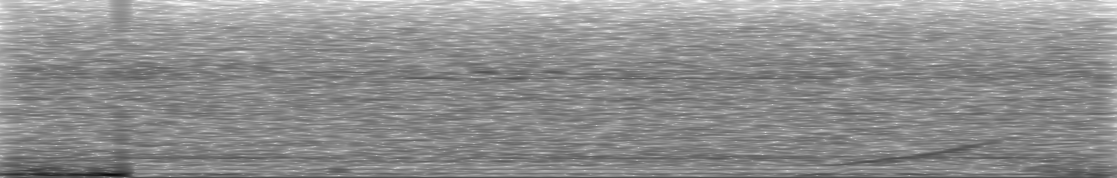 [Loading Spectrogram]