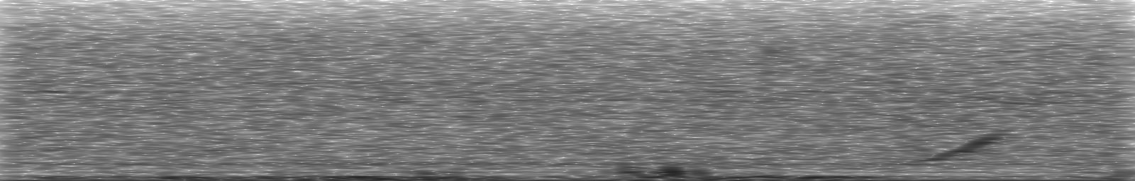 [Loading Spectrogram]