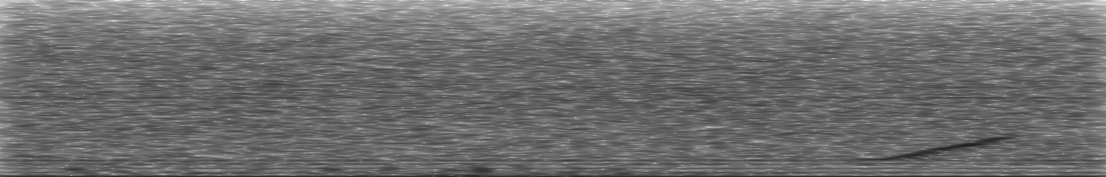 [Loading Spectrogram]