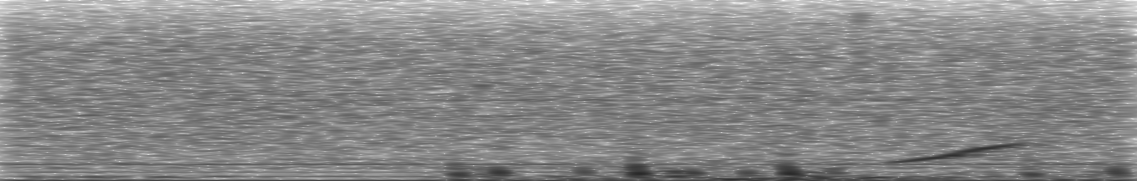 [Loading Spectrogram]