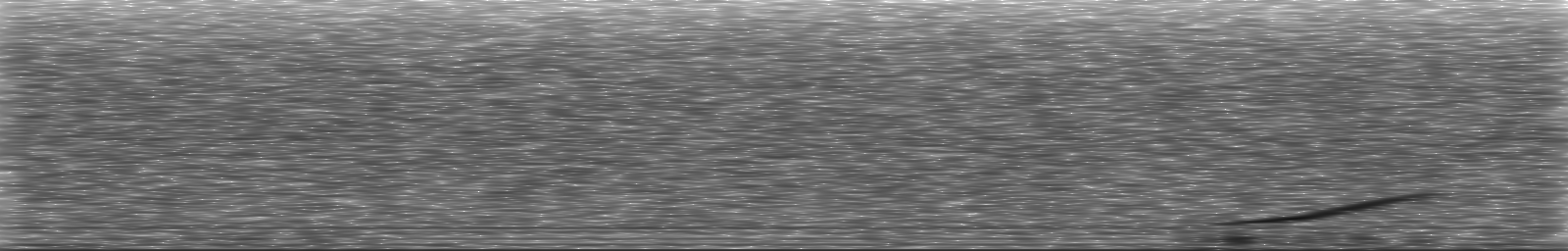 [Loading Spectrogram]