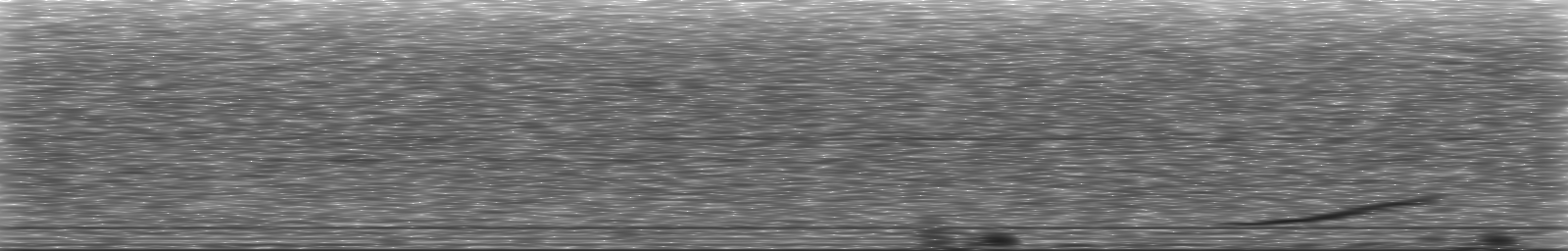 [Loading Spectrogram]