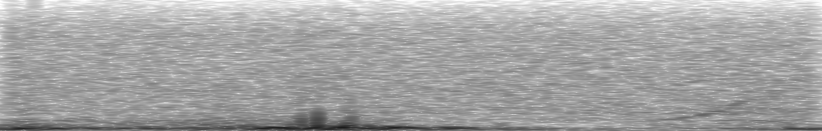 [Loading Spectrogram]