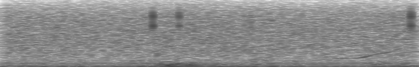 [Loading Spectrogram]