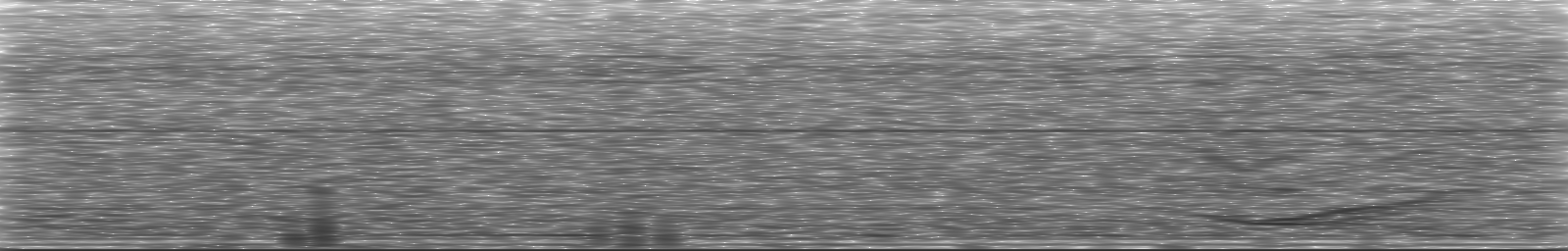 [Loading Spectrogram]