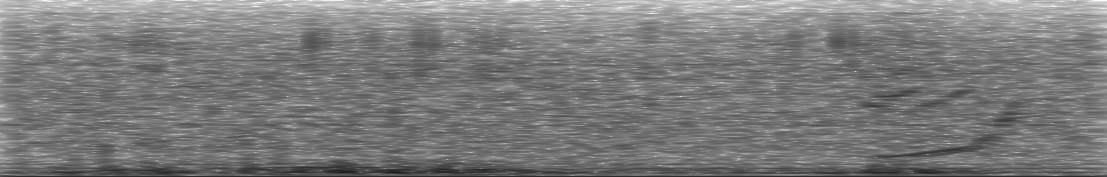 [Loading Spectrogram]