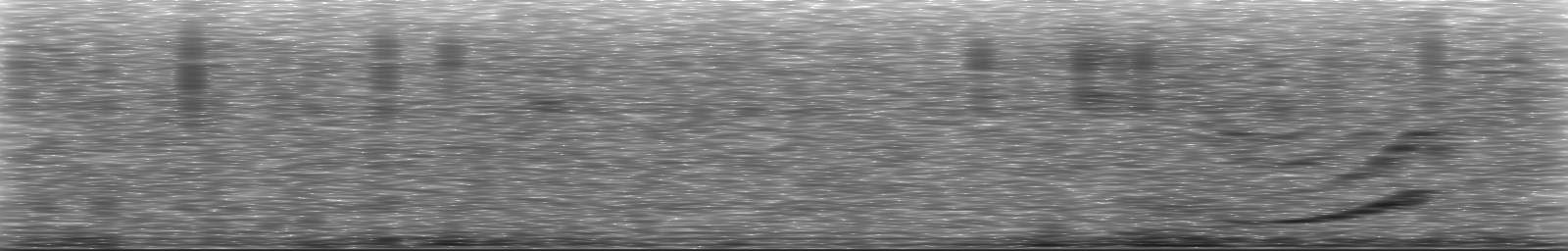 [Loading Spectrogram]