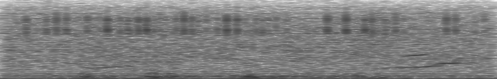 [Loading Spectrogram]