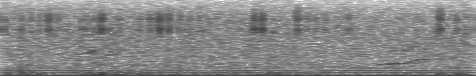 [Loading Spectrogram]