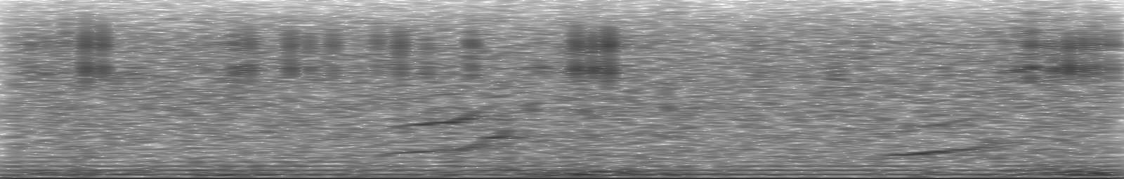 [Loading Spectrogram]