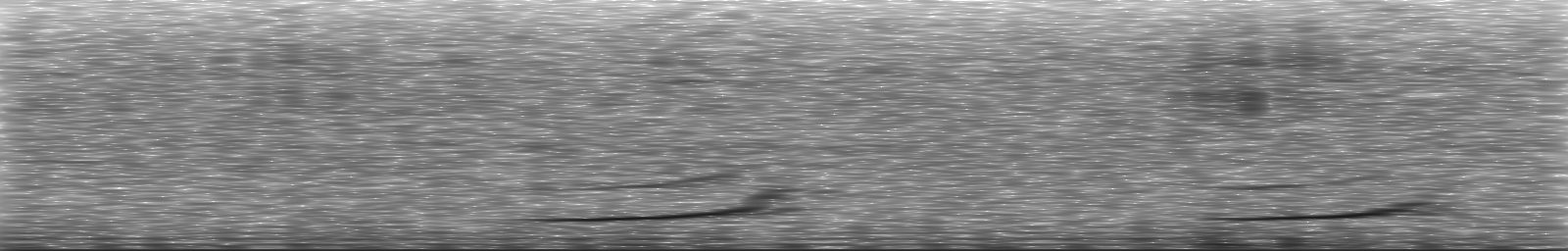 [Loading Spectrogram]