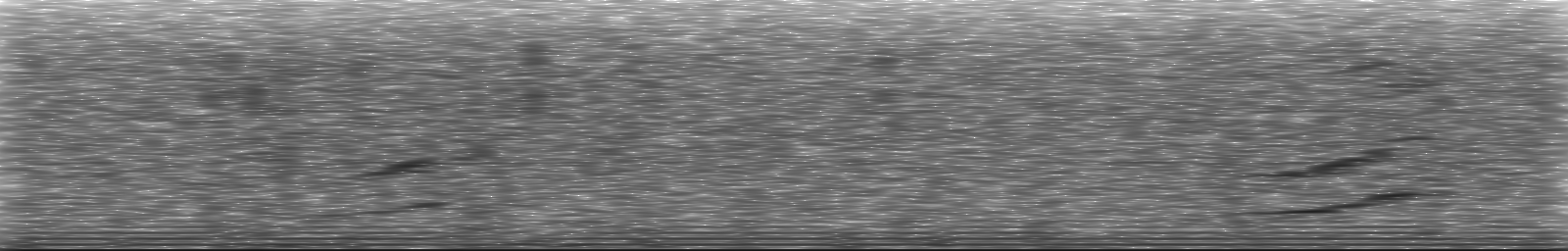 [Loading Spectrogram]