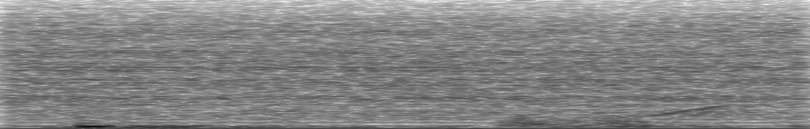 [Loading Spectrogram]