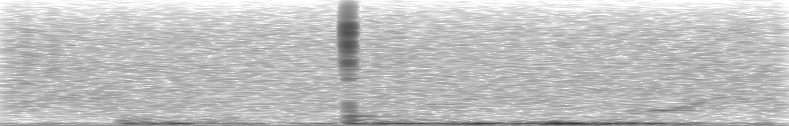 [Loading Spectrogram]