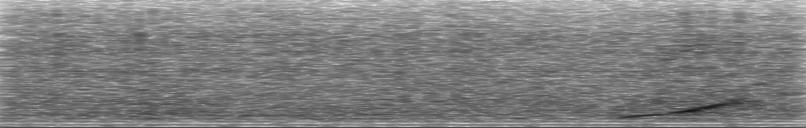 [Loading Spectrogram]