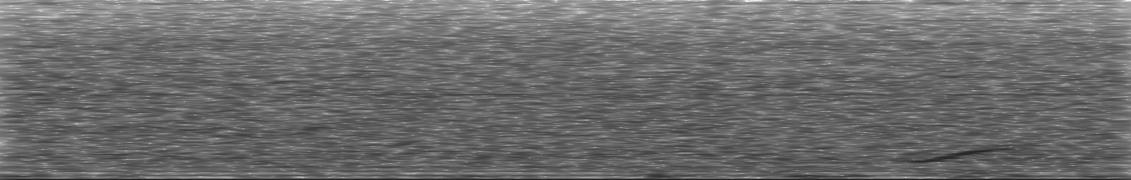 [Loading Spectrogram]