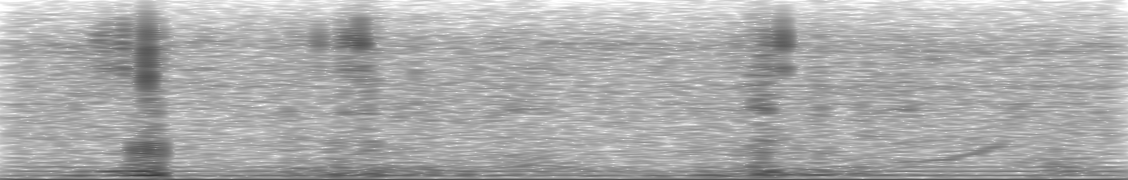 [Loading Spectrogram]