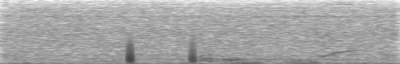 [Loading Spectrogram]