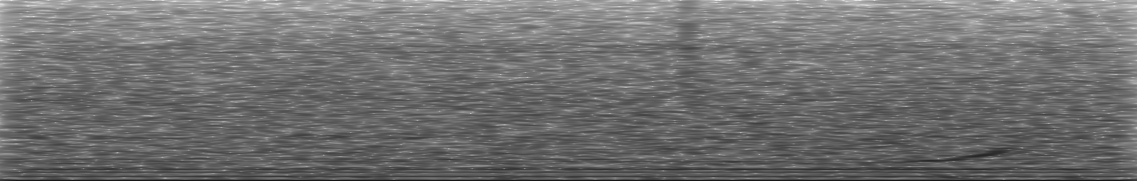 [Loading Spectrogram]