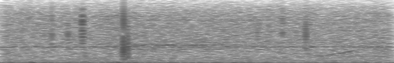 [Loading Spectrogram]