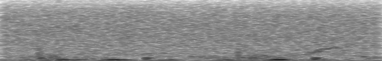 [Loading Spectrogram]