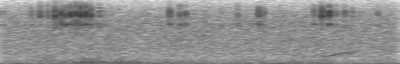 [Loading Spectrogram]