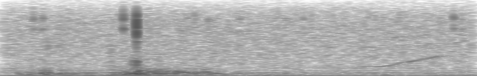 [Loading Spectrogram]