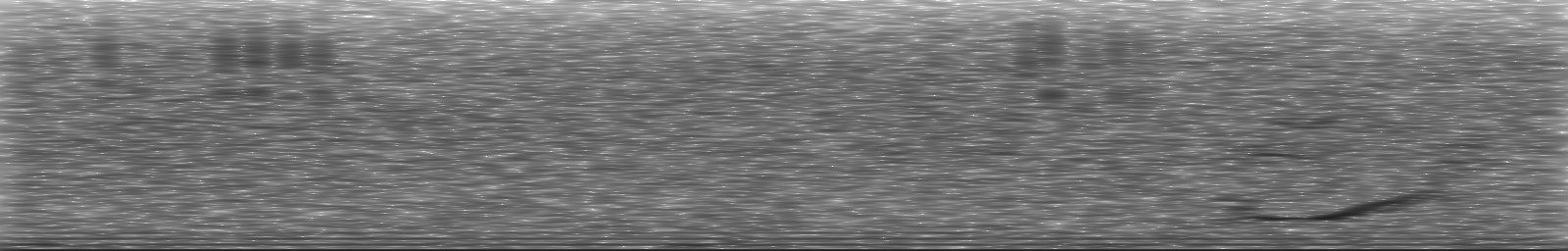 [Loading Spectrogram]