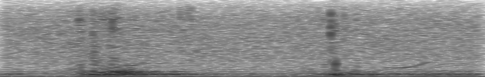 [Loading Spectrogram]