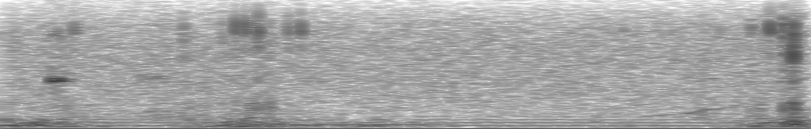[Loading Spectrogram]