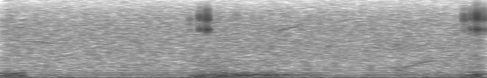 [Loading Spectrogram]