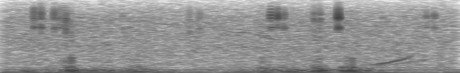[Loading Spectrogram]