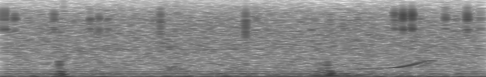 [Loading Spectrogram]
