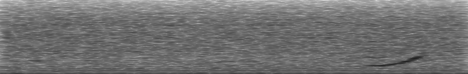 [Loading Spectrogram]