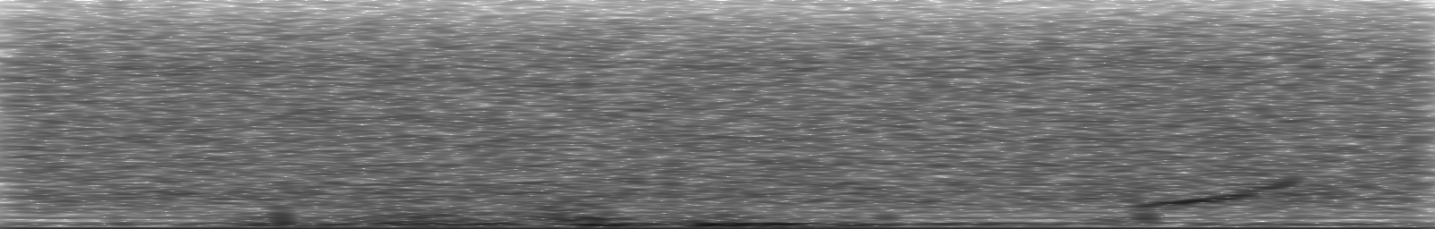 [Loading Spectrogram]