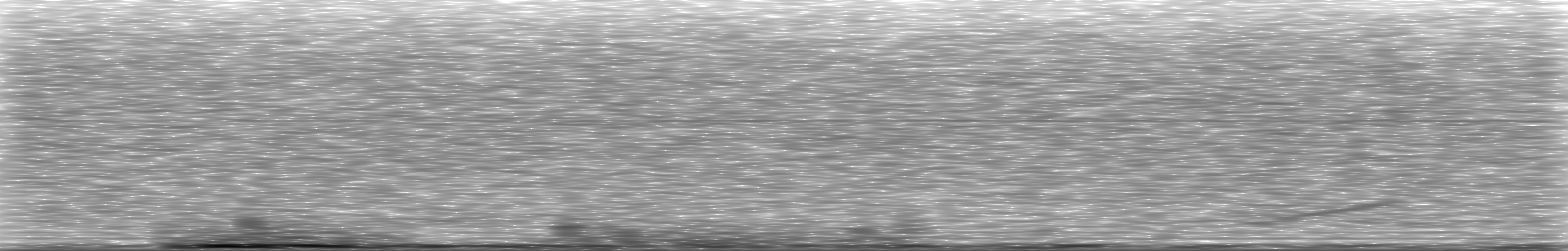 [Loading Spectrogram]