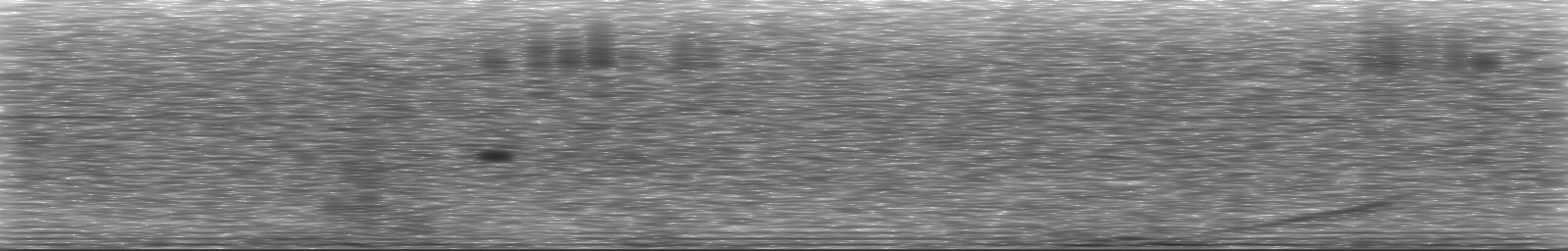 [Loading Spectrogram]
