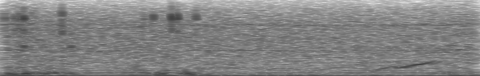 [Loading Spectrogram]