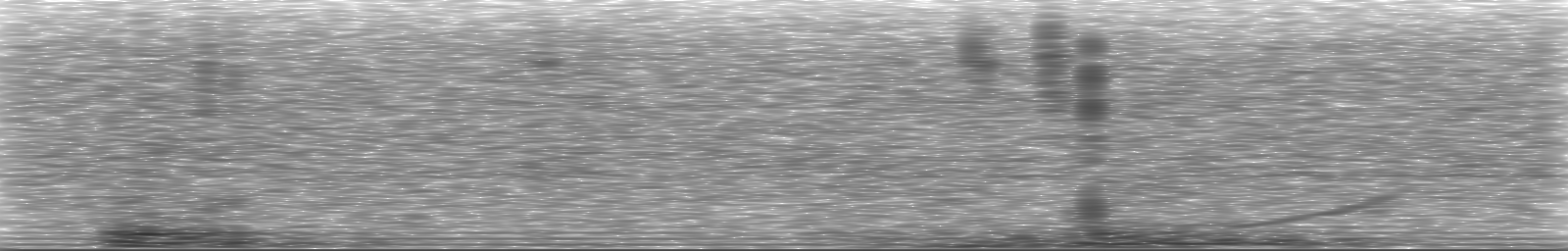 [Loading Spectrogram]