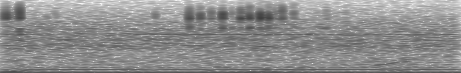 [Loading Spectrogram]
