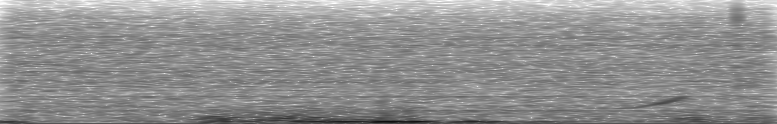 [Loading Spectrogram]