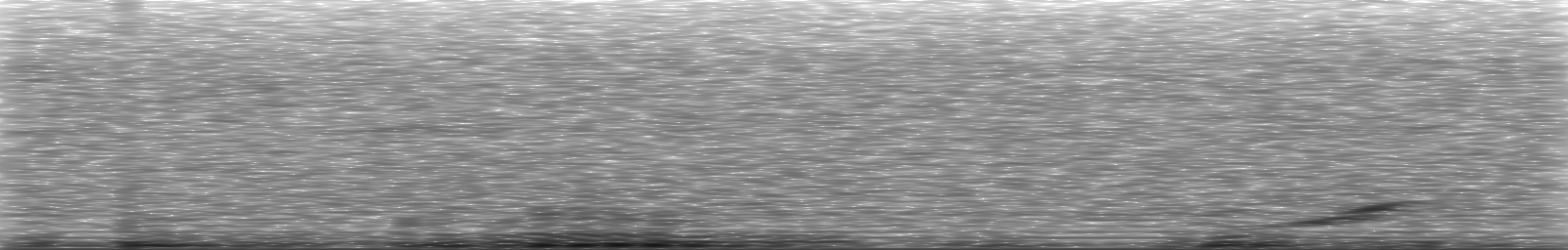 [Loading Spectrogram]