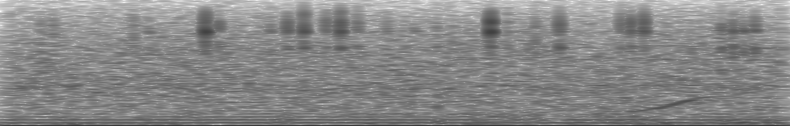 [Loading Spectrogram]