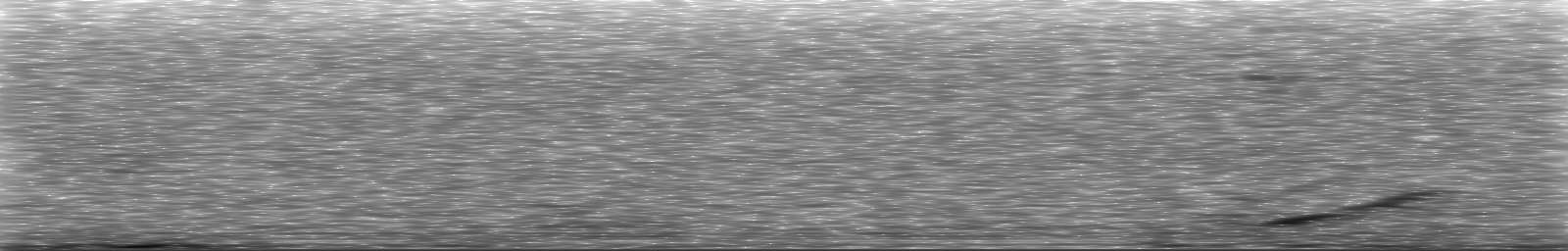 [Loading Spectrogram]