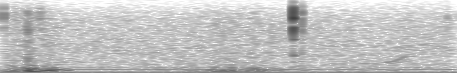 [Loading Spectrogram]