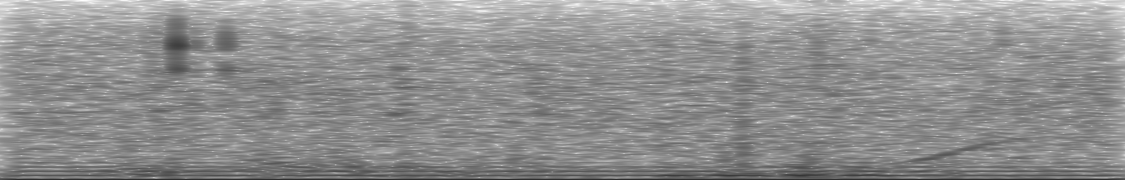 [Loading Spectrogram]