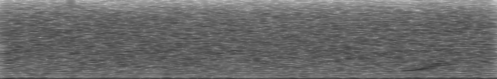 [Loading Spectrogram]