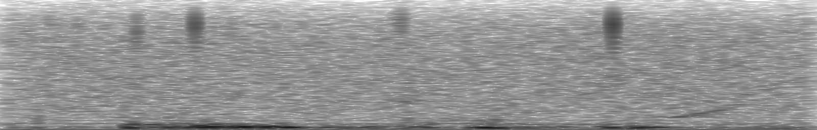 [Loading Spectrogram]